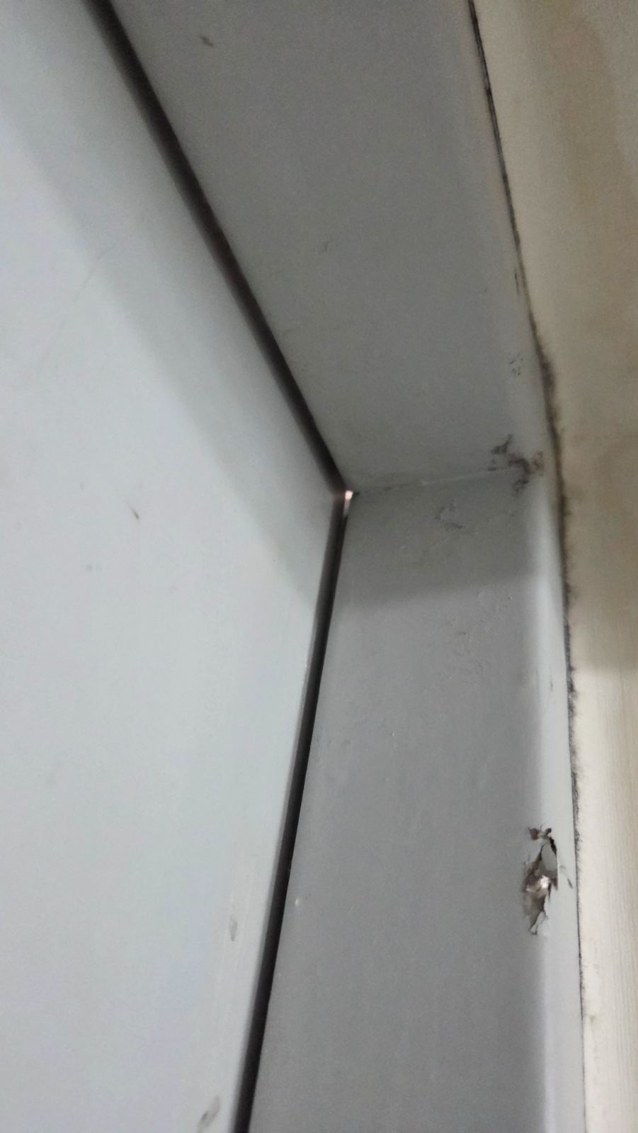 작업전 사진