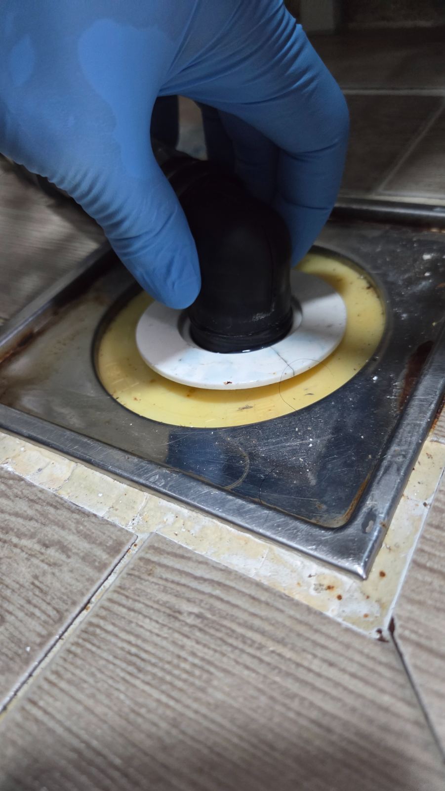 작업전 사진