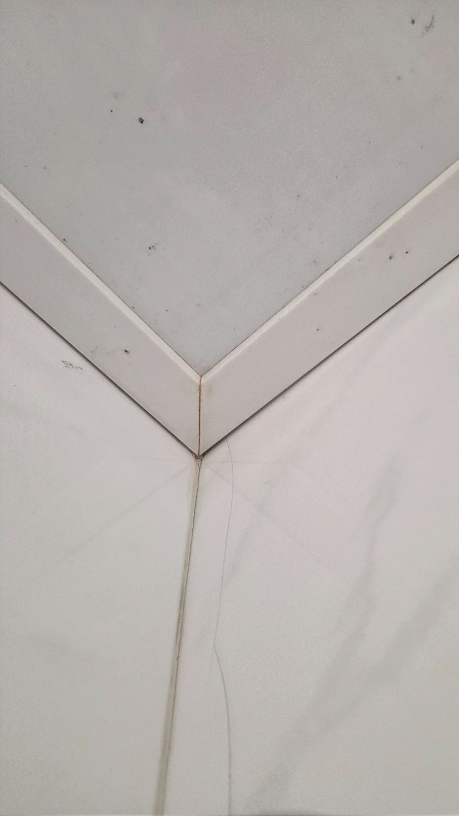 작업전 사진