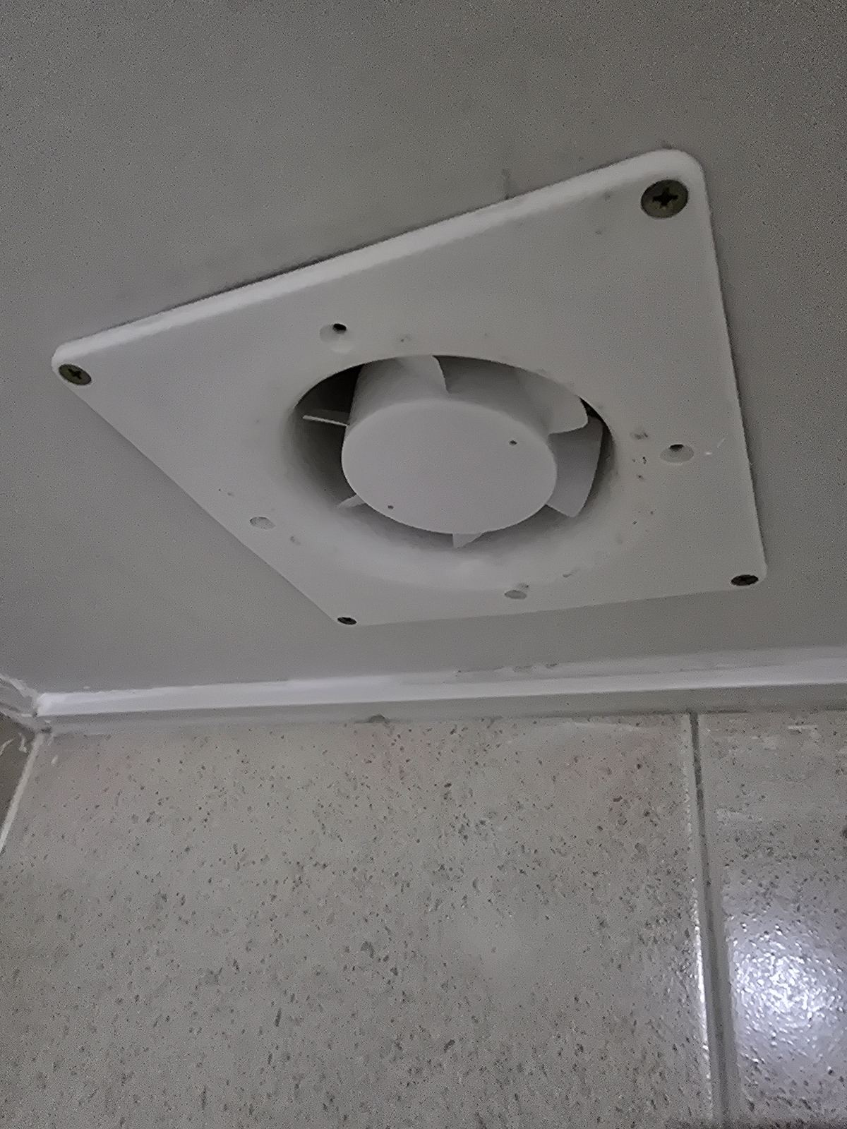 작업전 사진