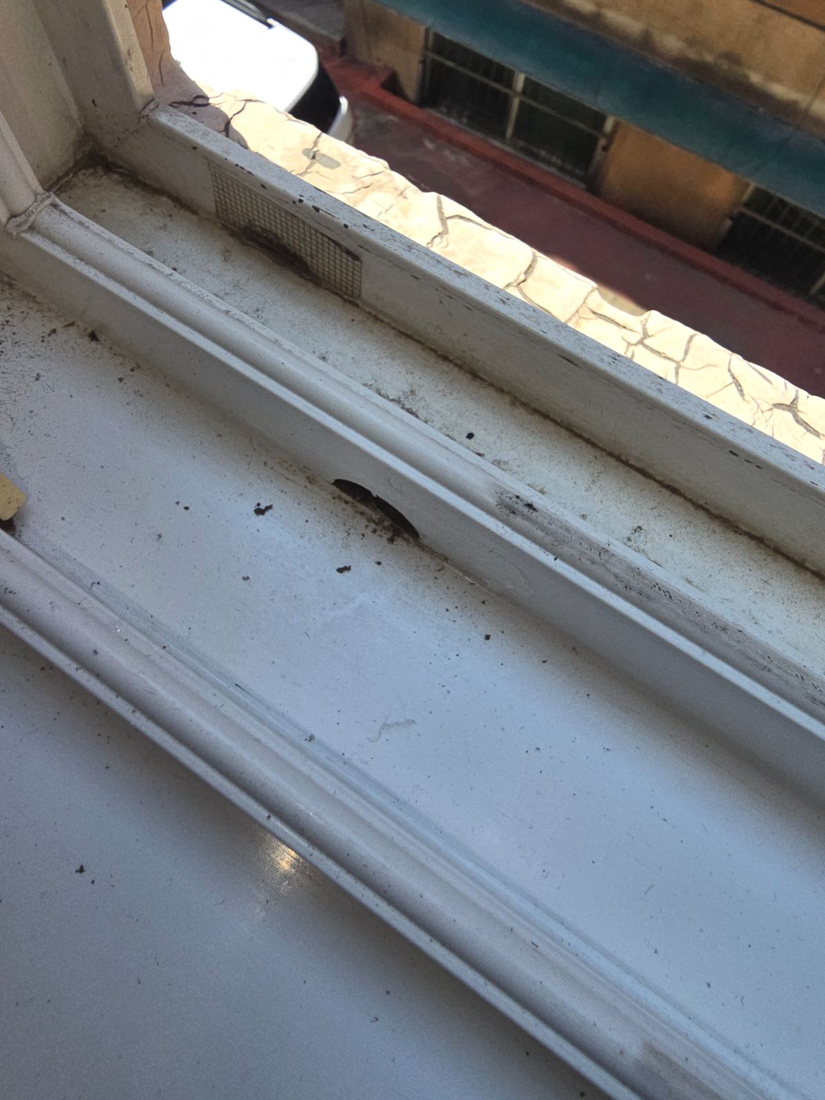 작업전 사진