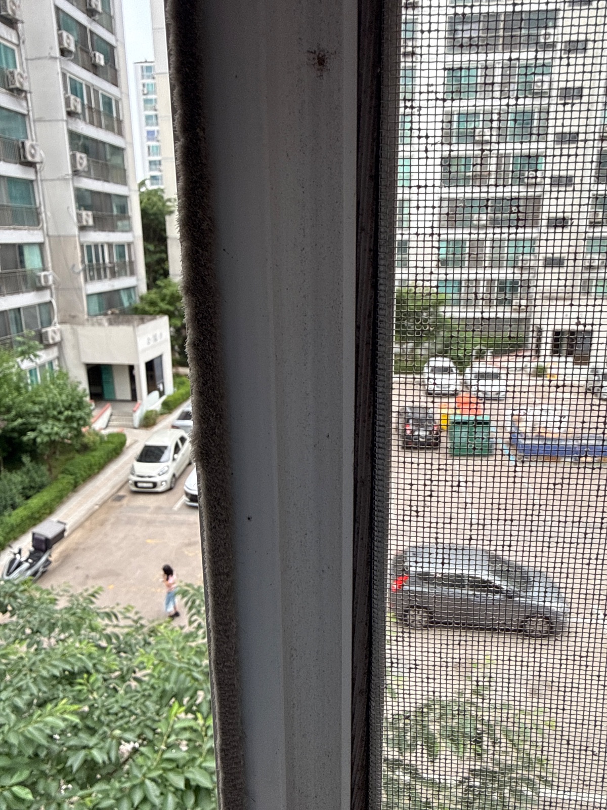 작업전 사진