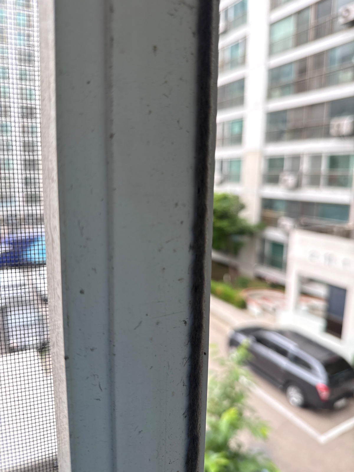 작업전 사진