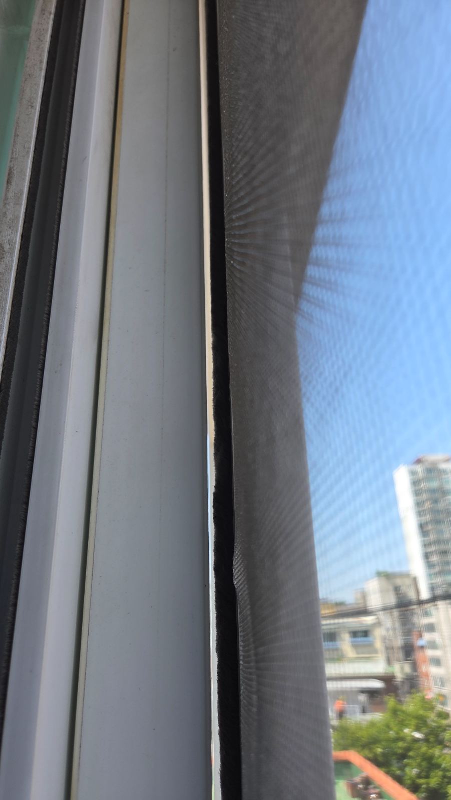 작업전 사진