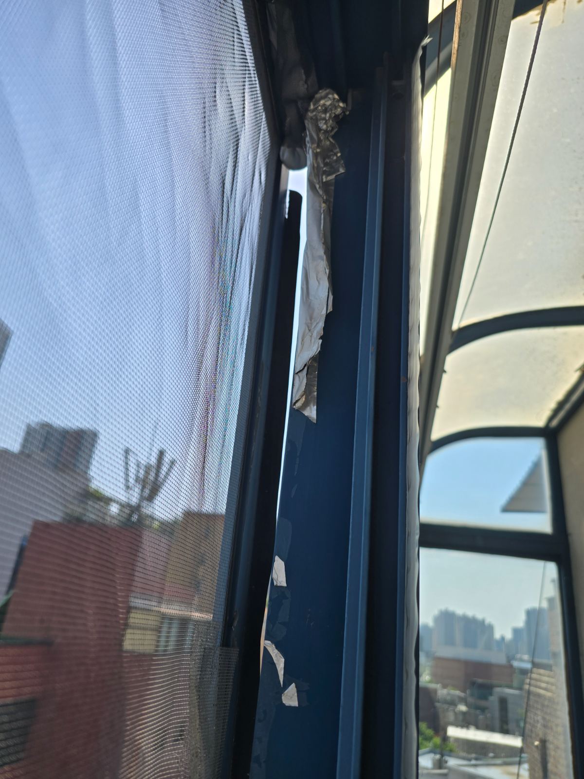 작업전 사진