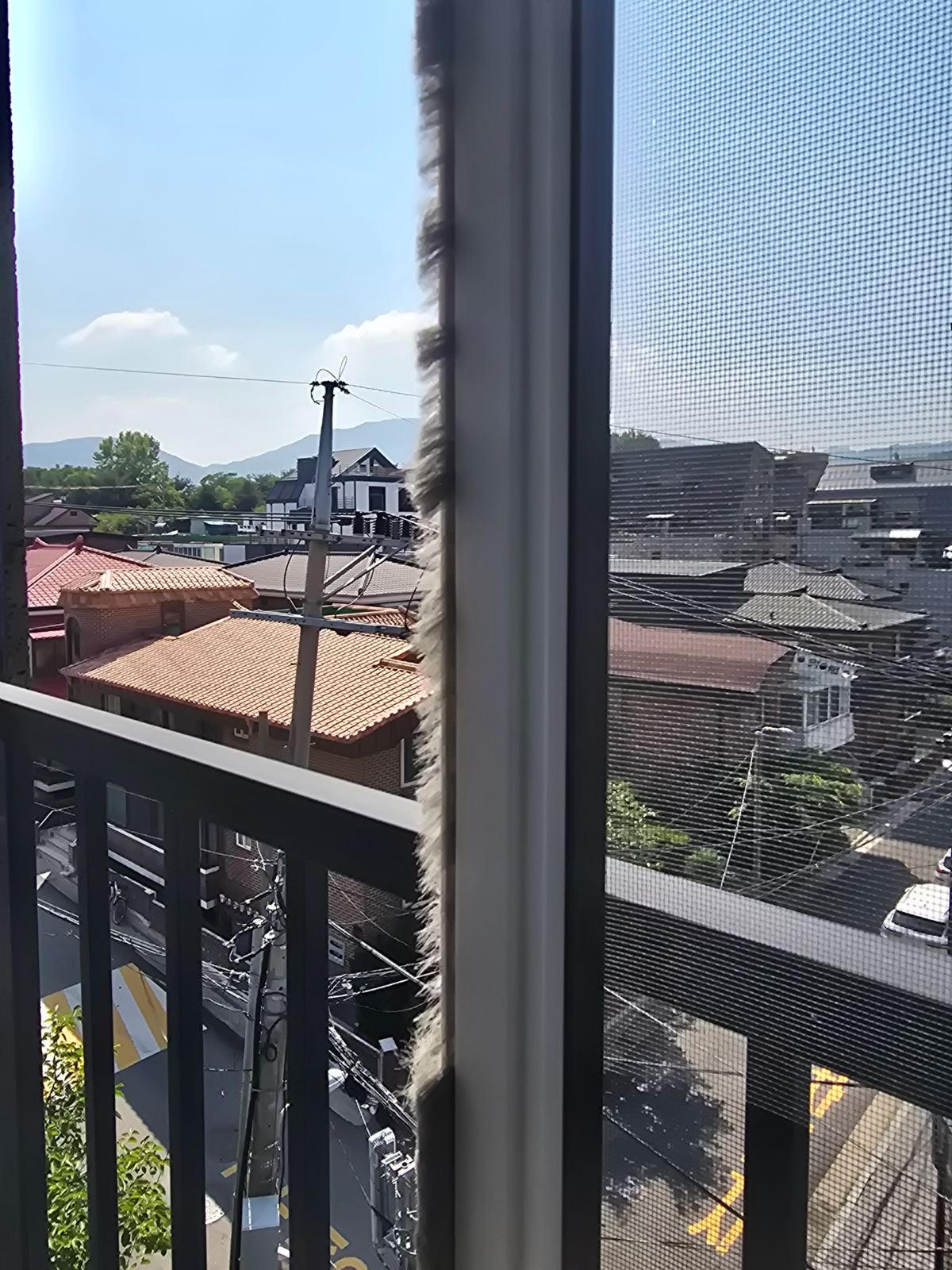 작업전 사진