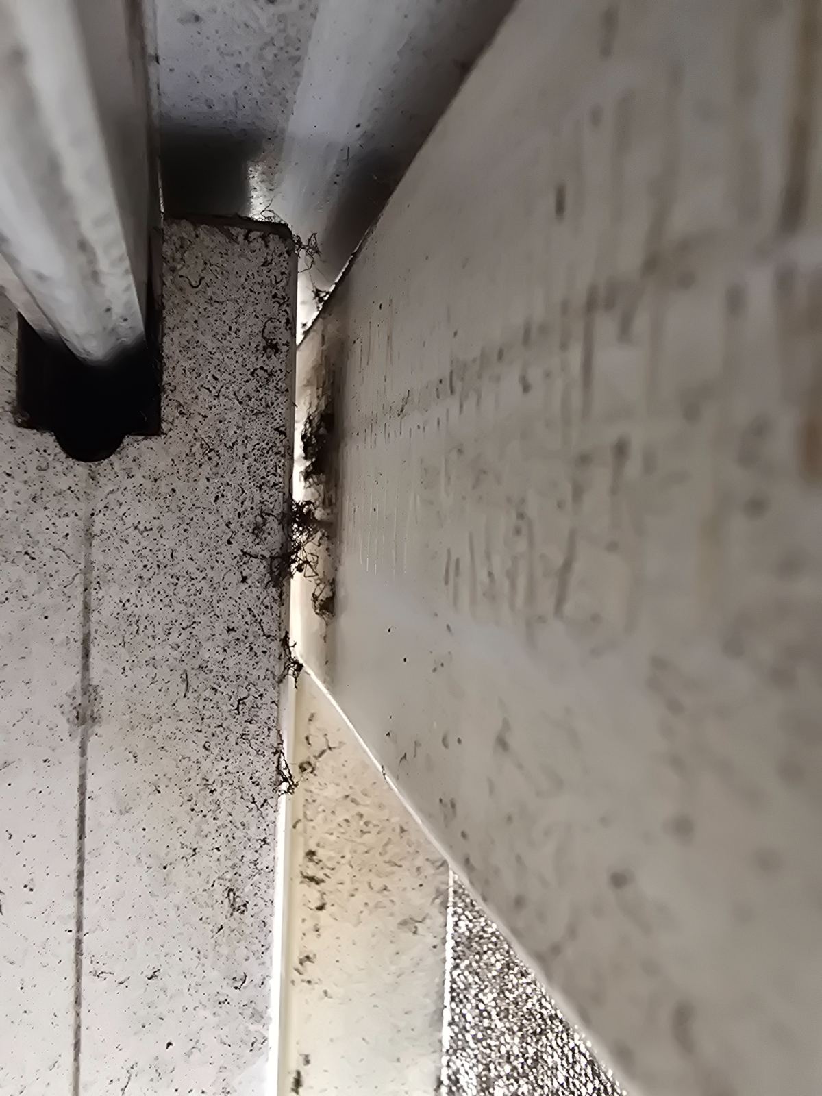 작업전 사진