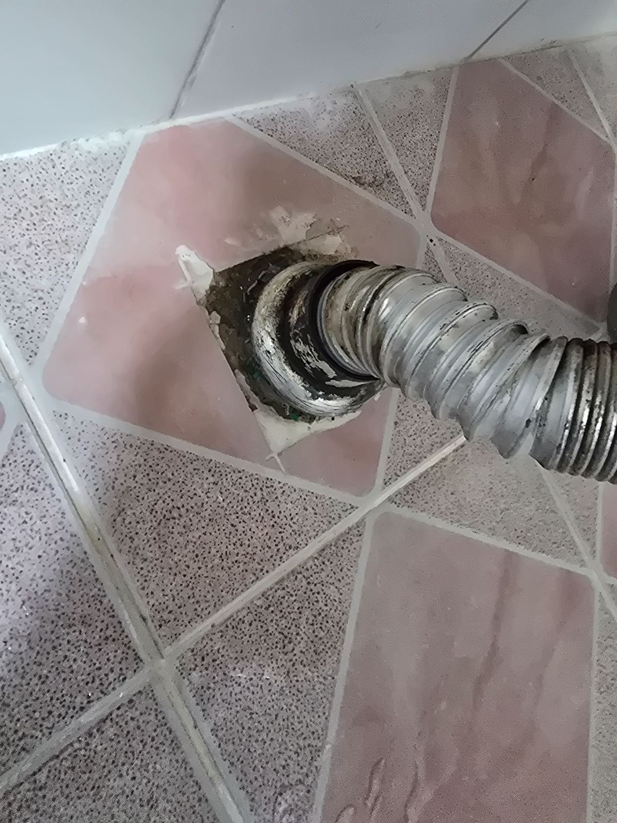 작업전 사진