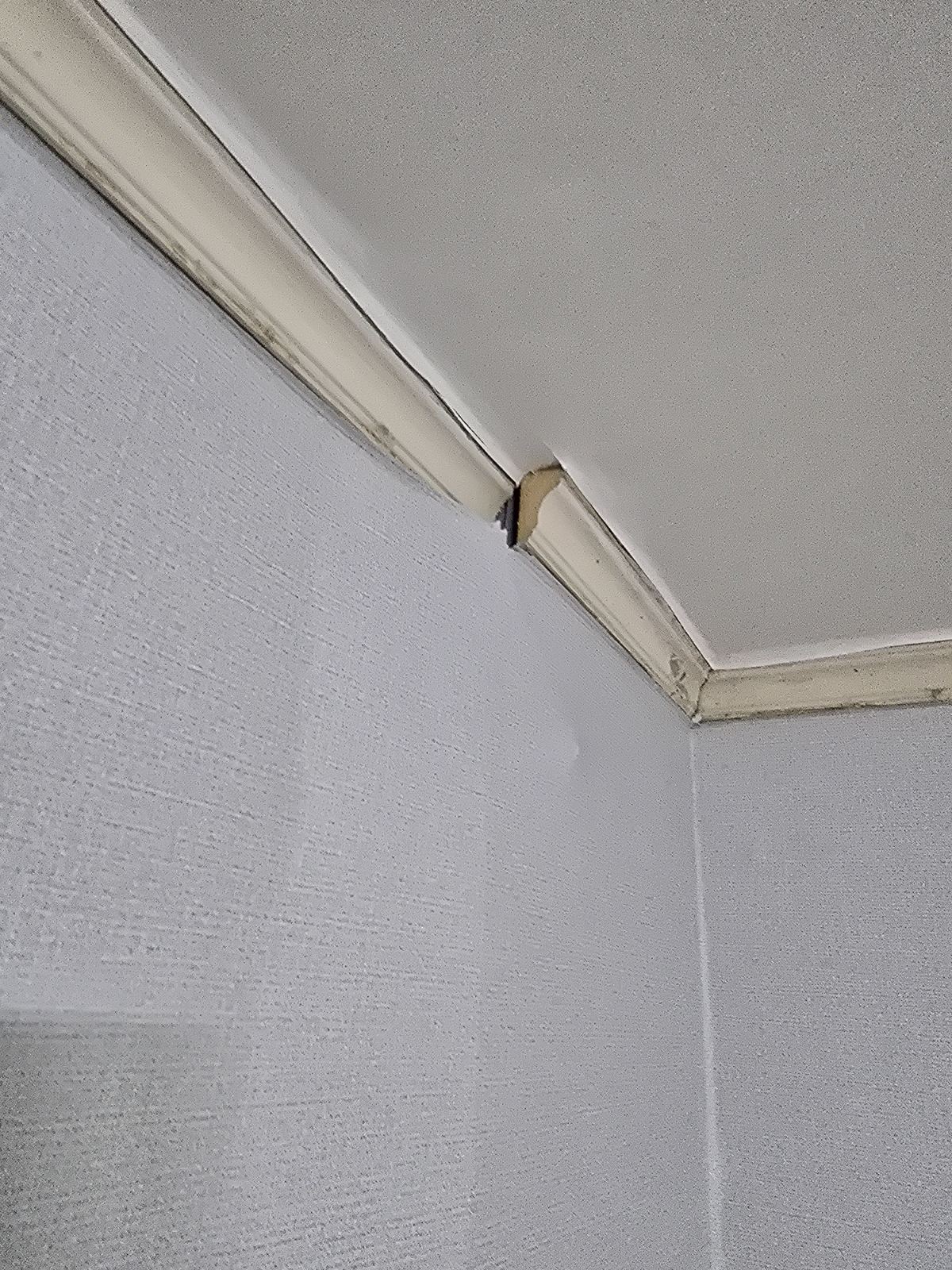 작업전 사진
