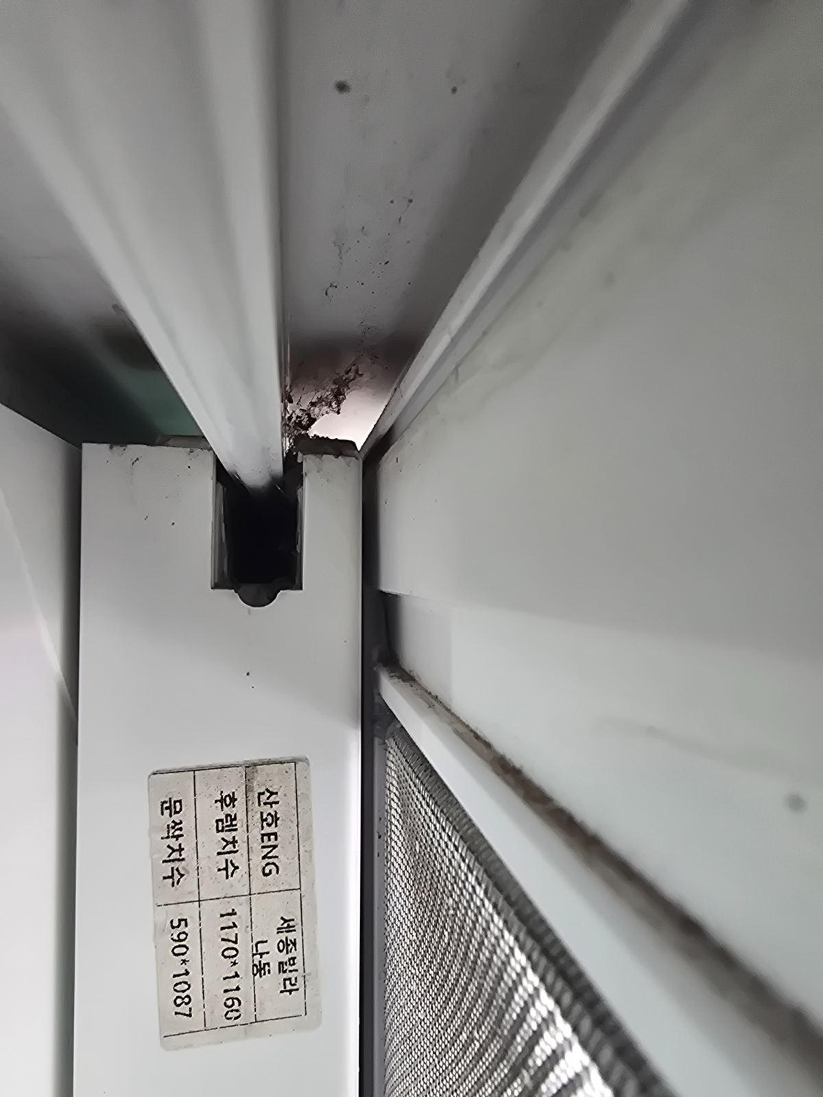 작업전 사진