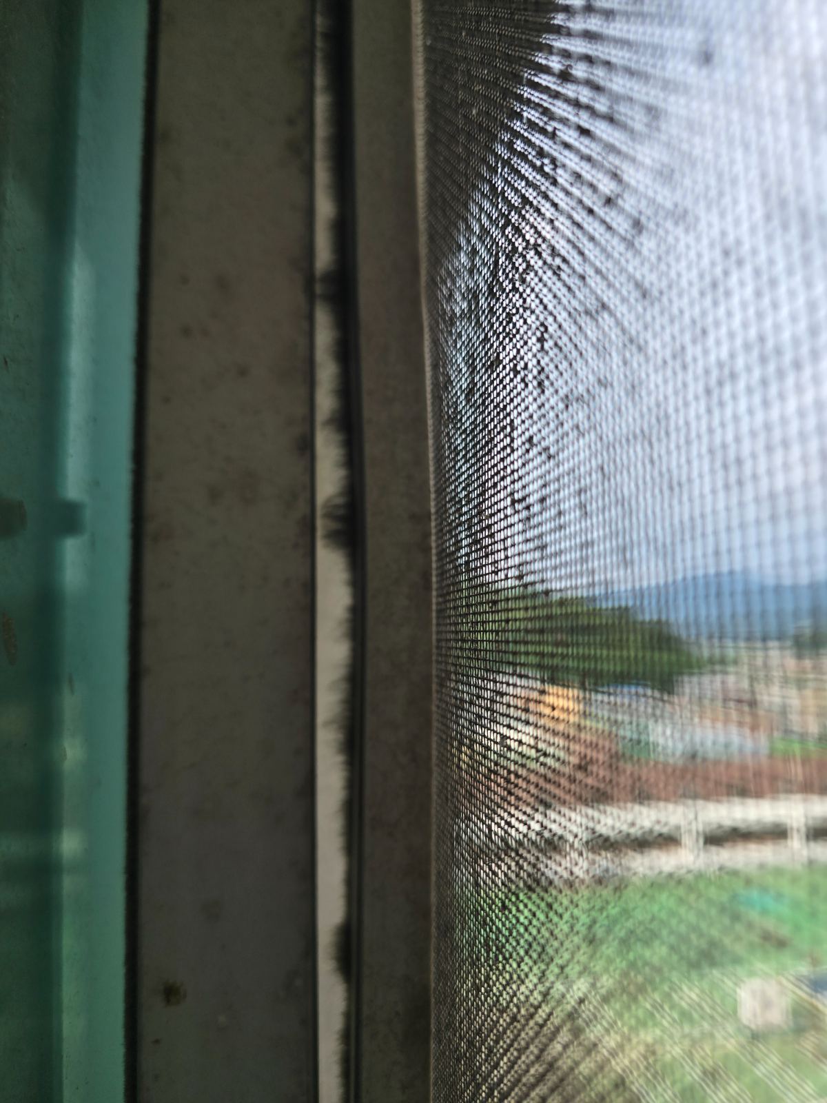 작업전 사진