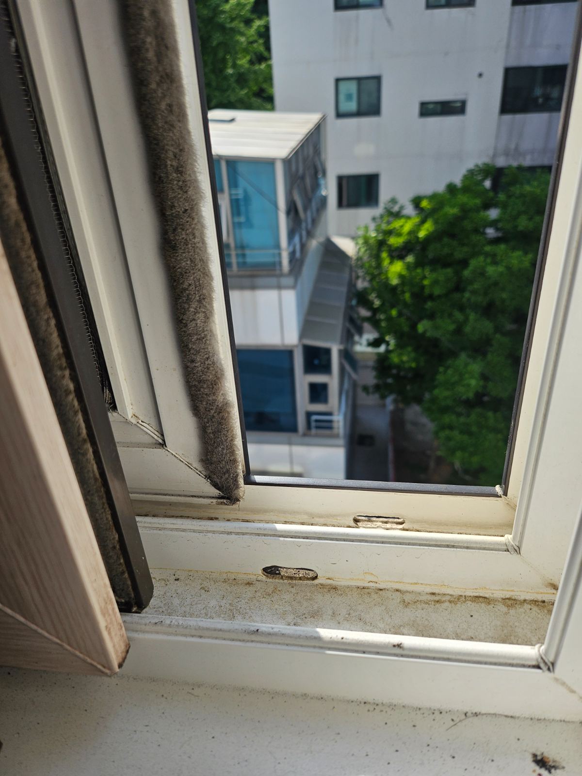 작업전 사진