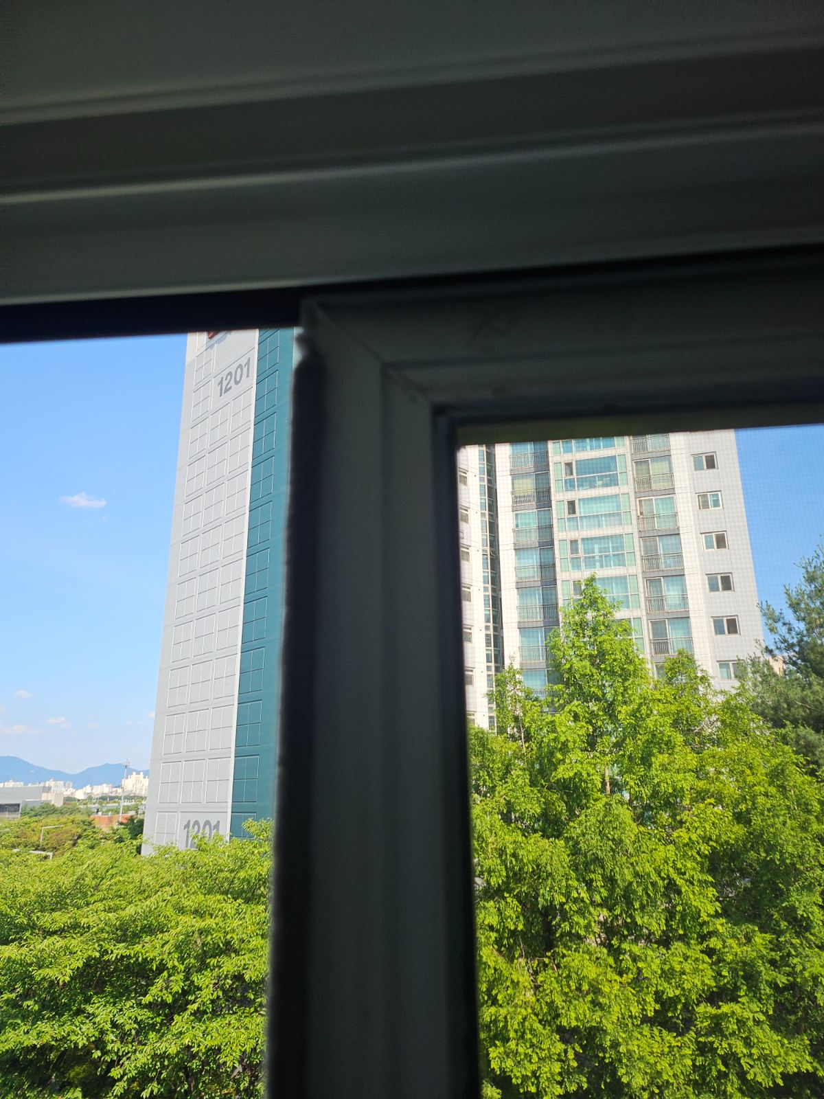 작업전 사진