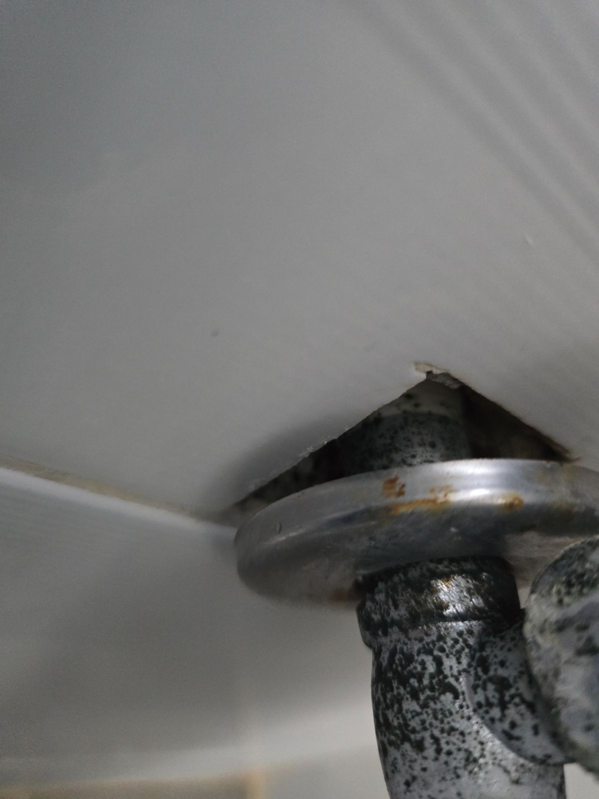 작업전 사진