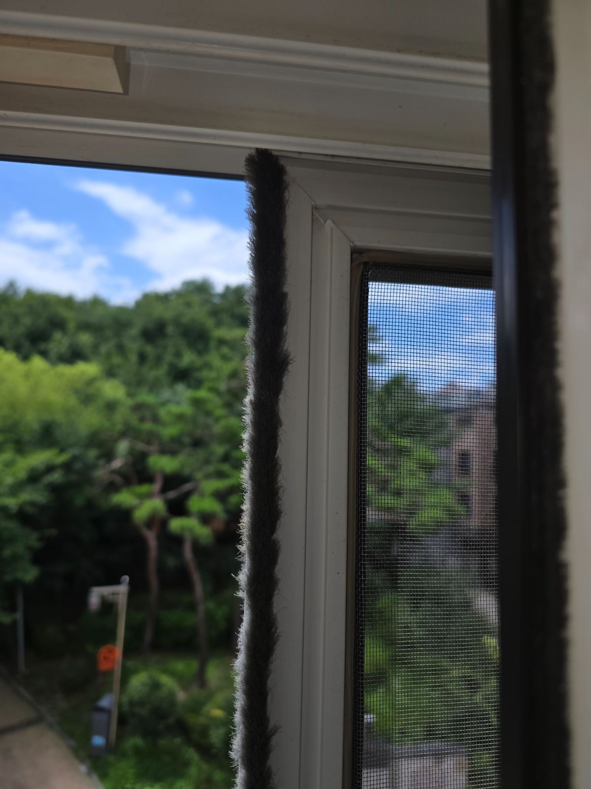 작업전 사진