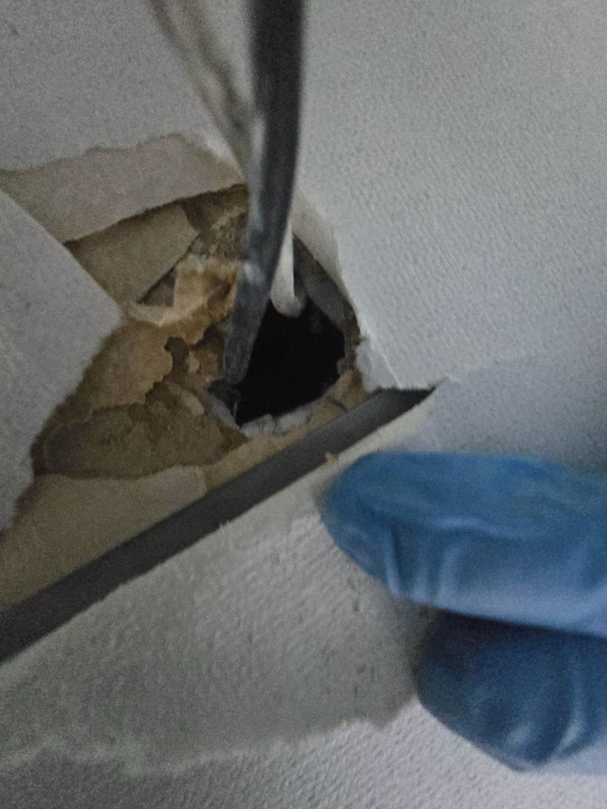 작업전 사진