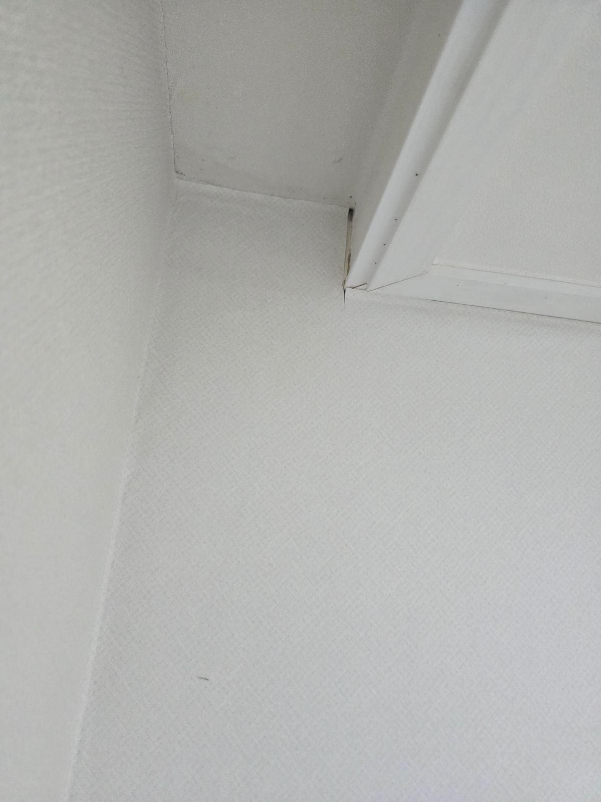 작업전 사진