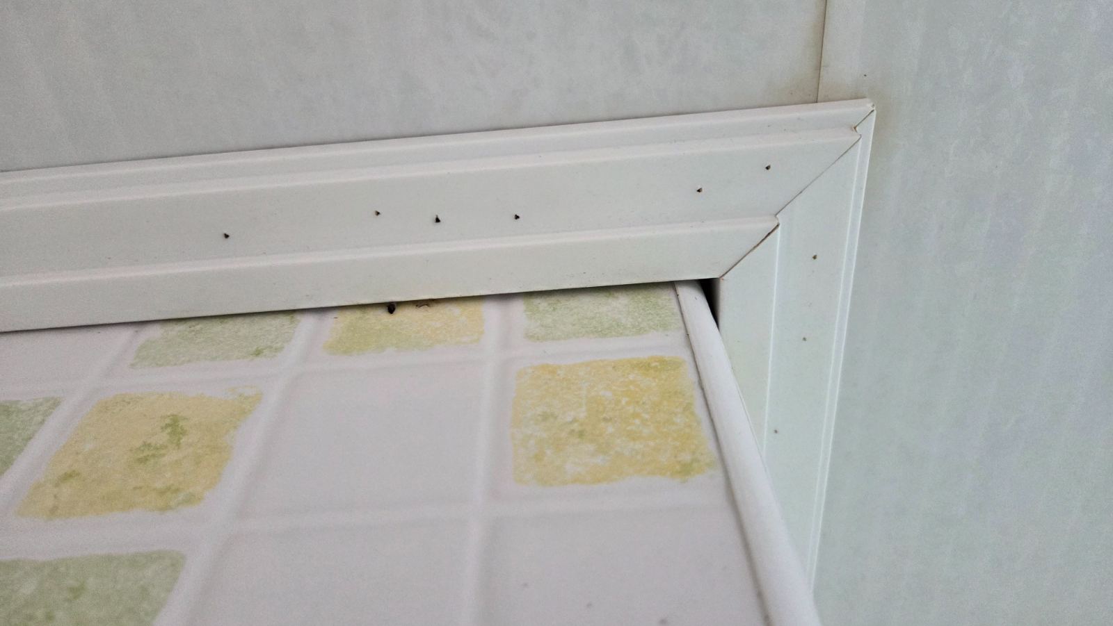 작업전 사진