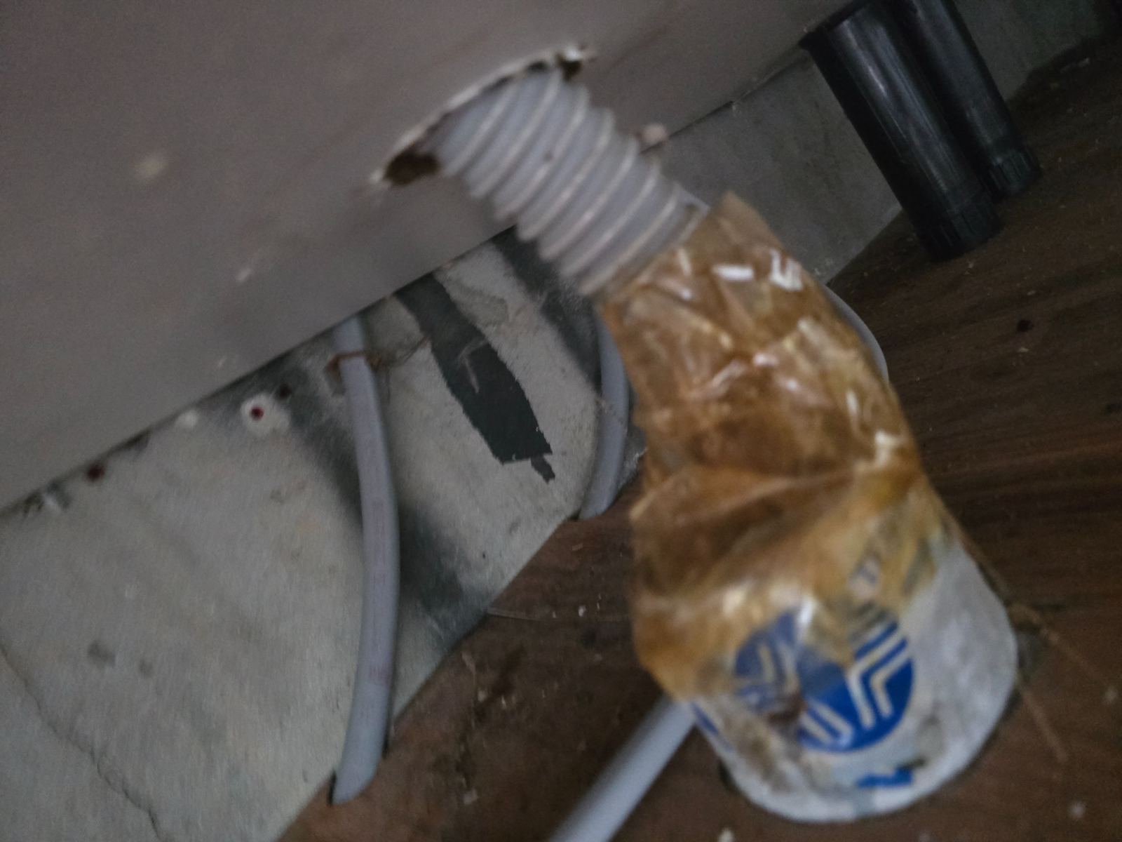 작업전 사진