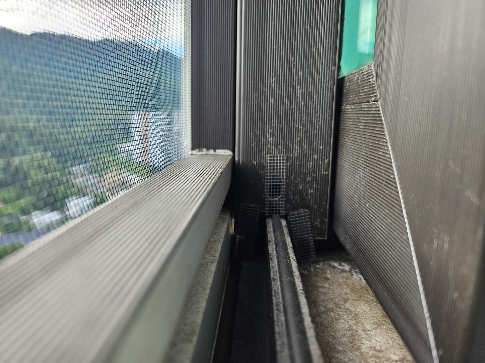 작업전 사진