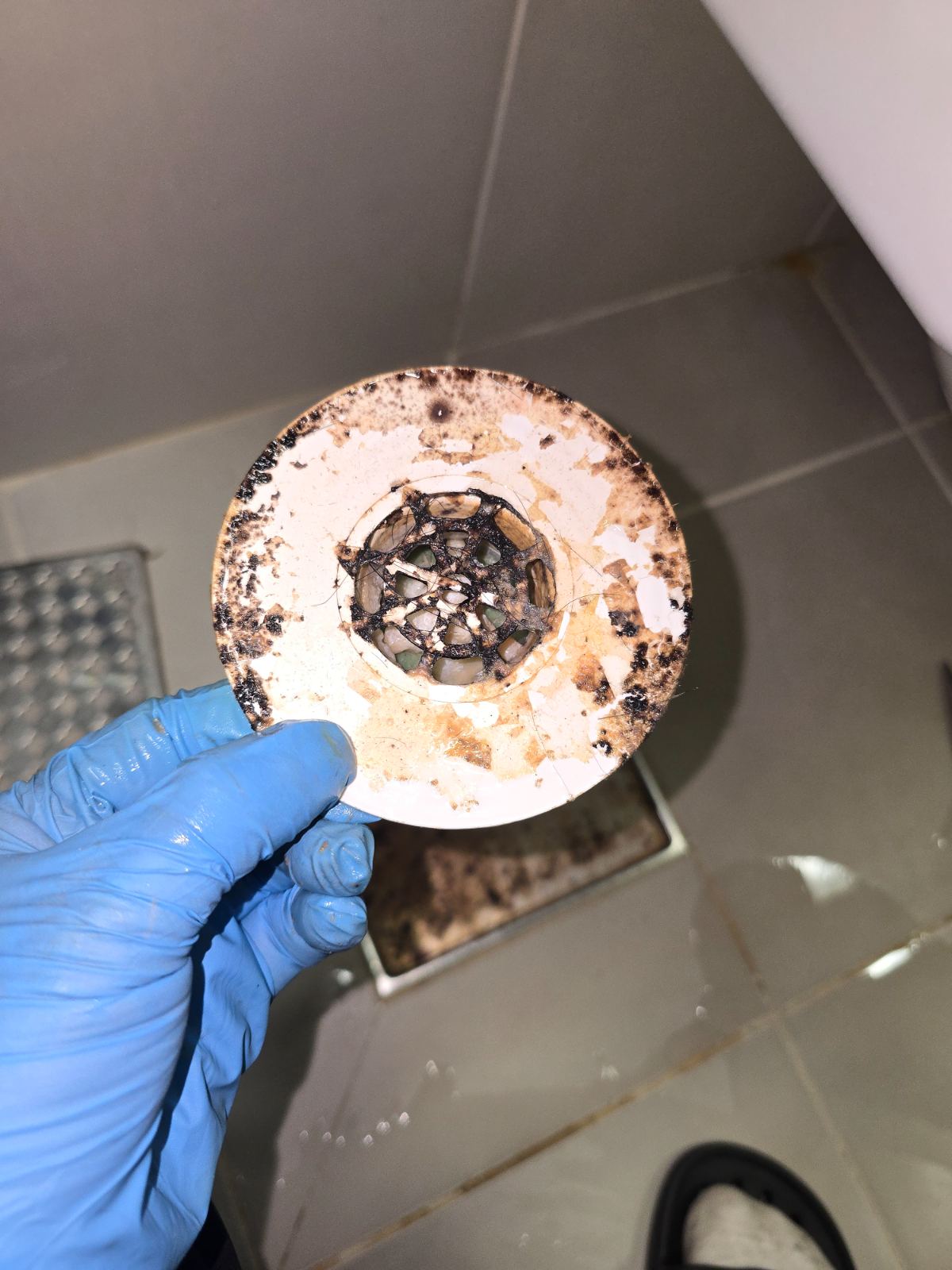 작업전 사진