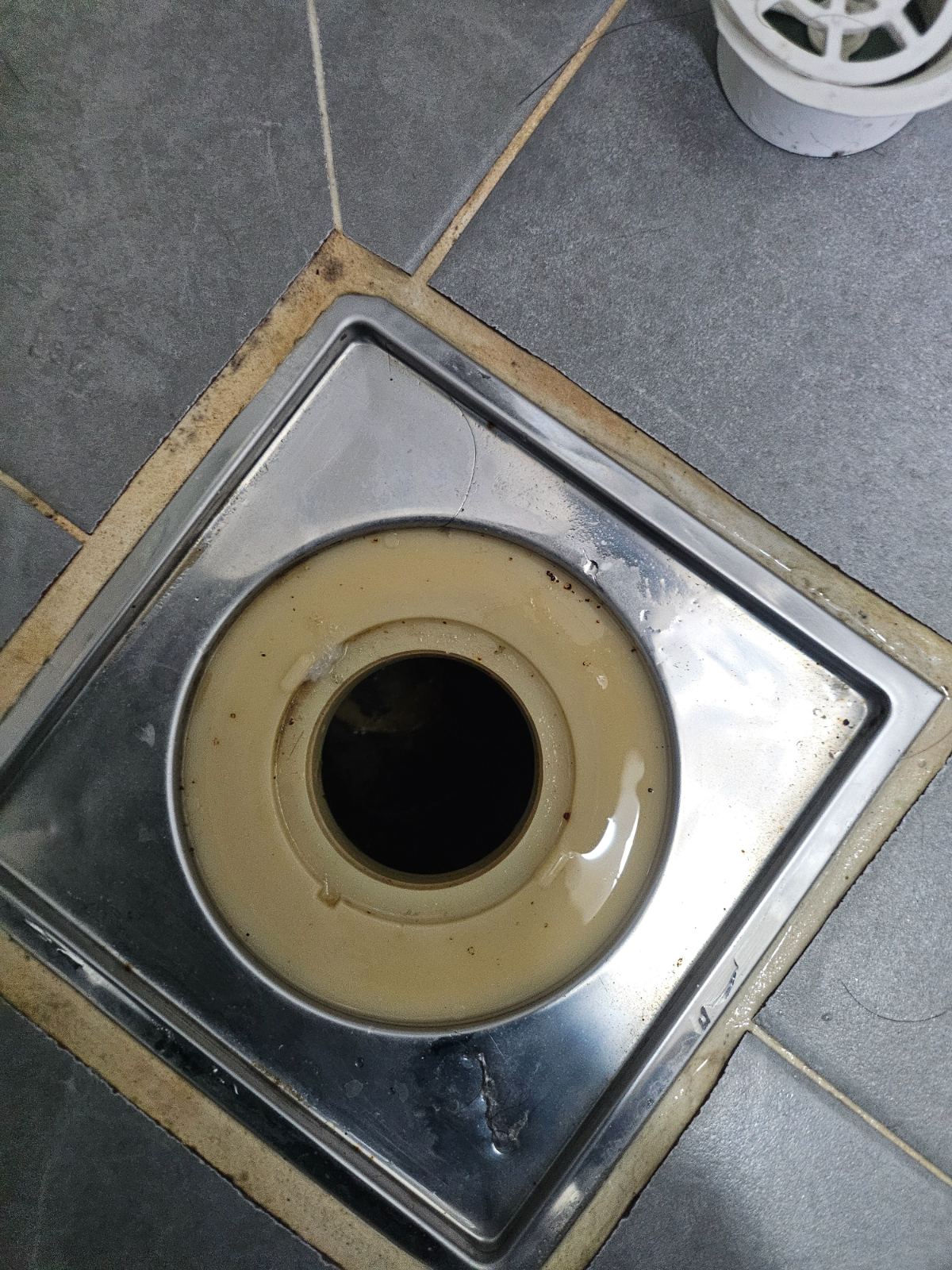 작업전 사진