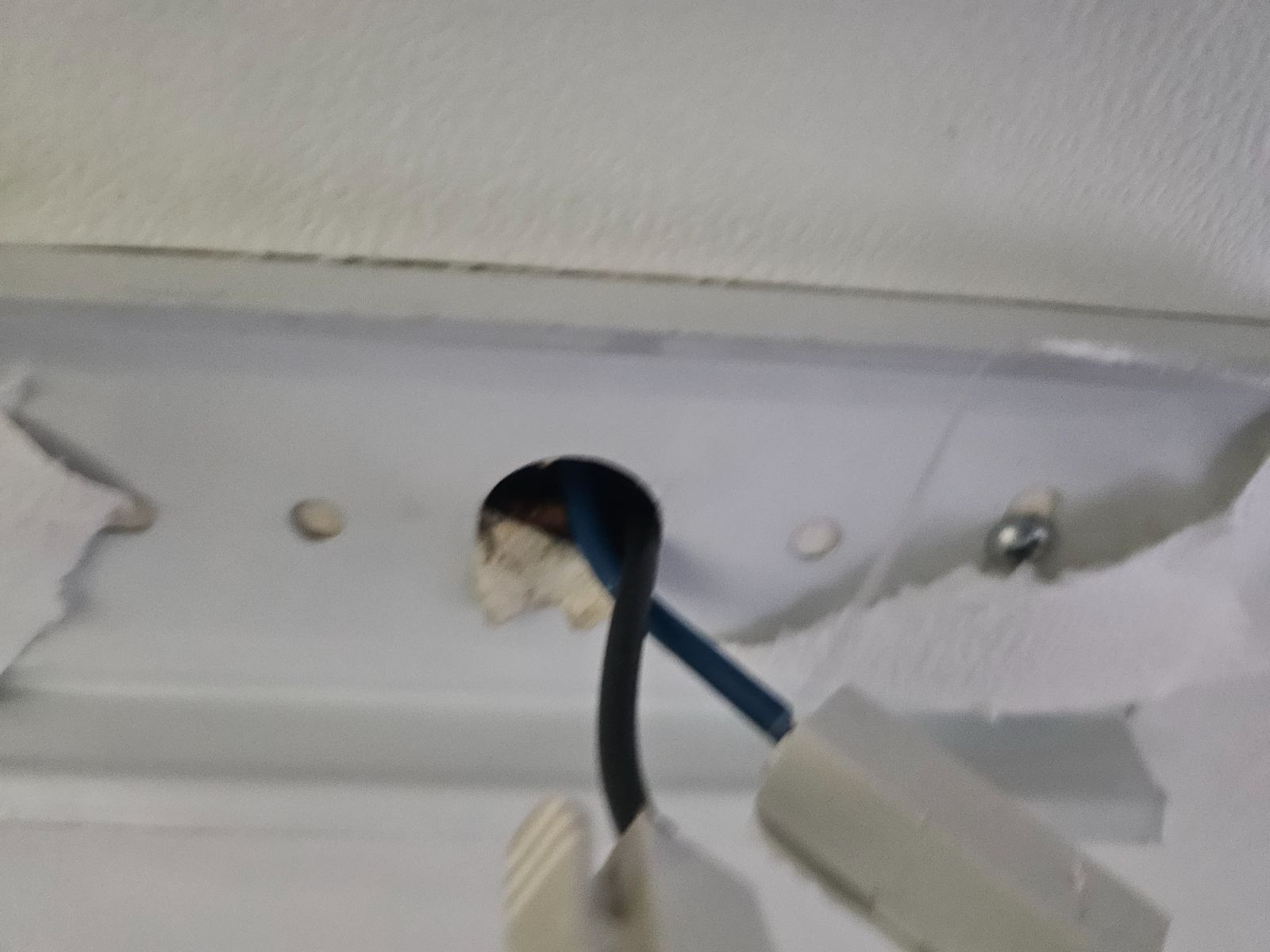 작업전 사진