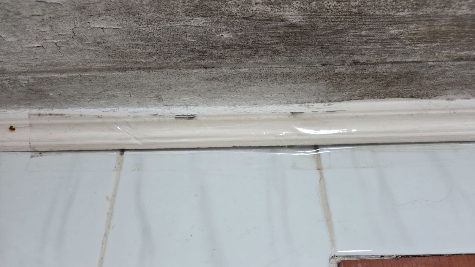 작업전 사진