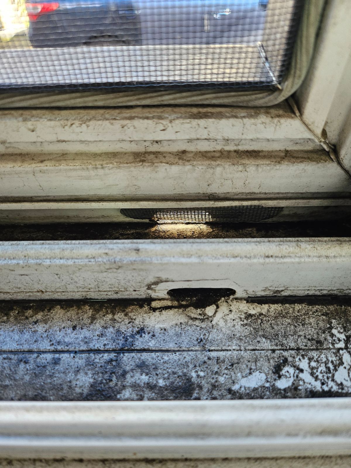 작업전 사진