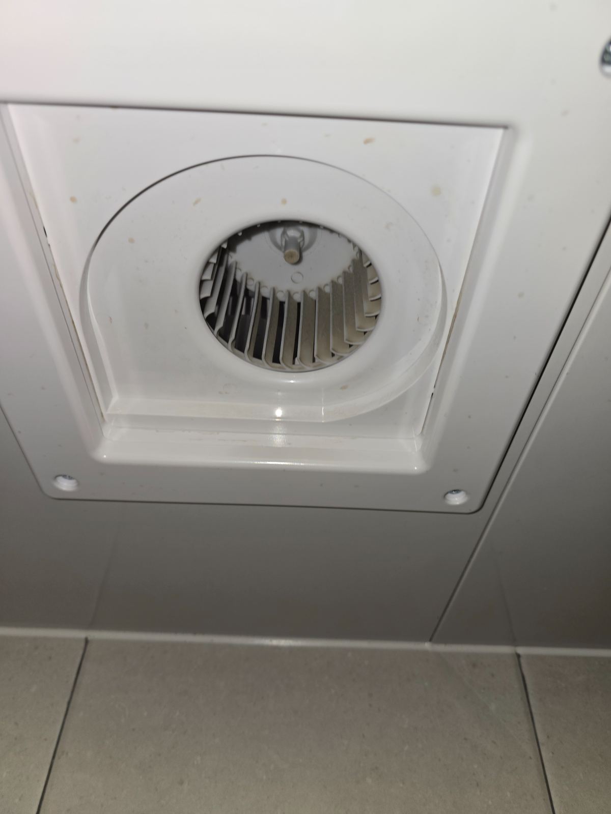 작업전 사진