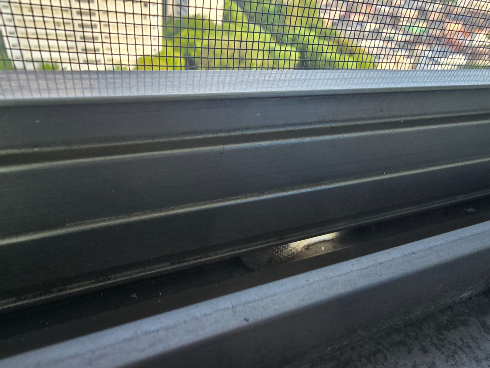 작업전 사진