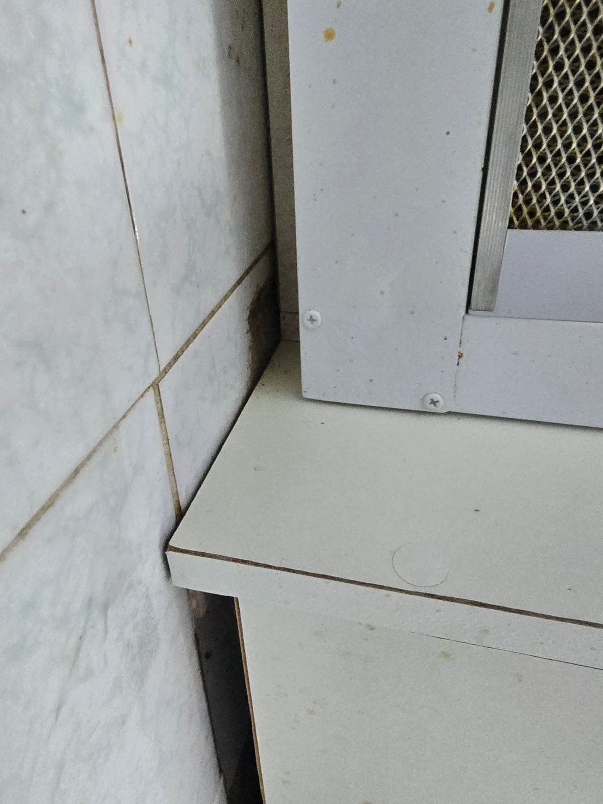 작업전 사진