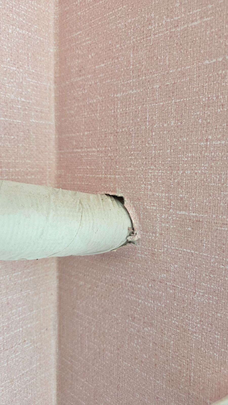 작업전 사진