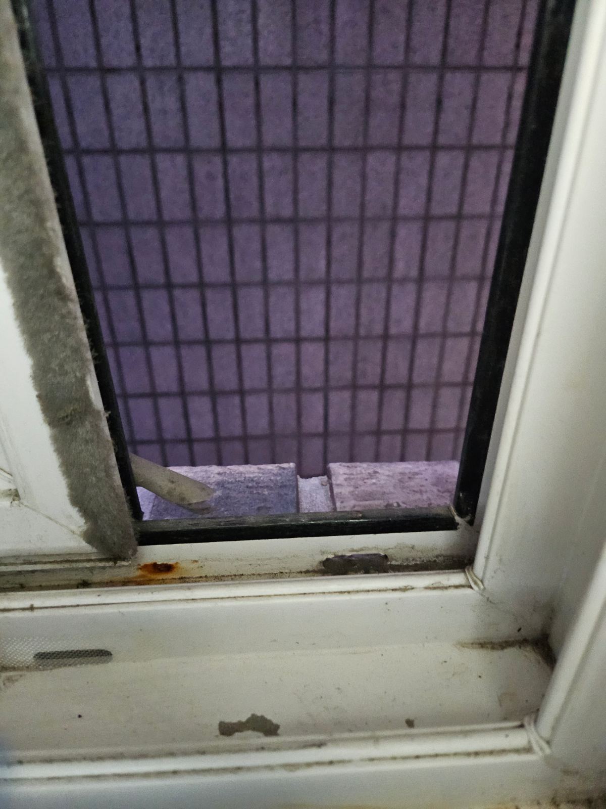 작업전 사진