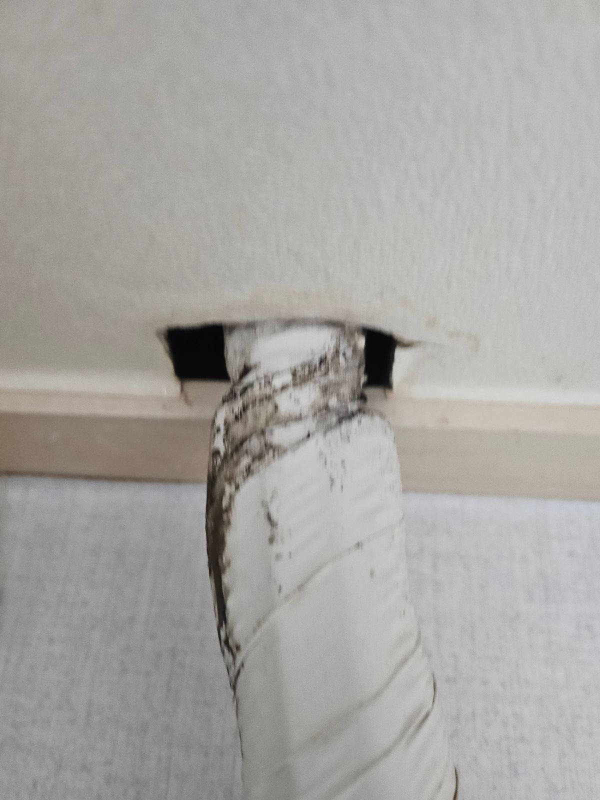 작업전 사진
