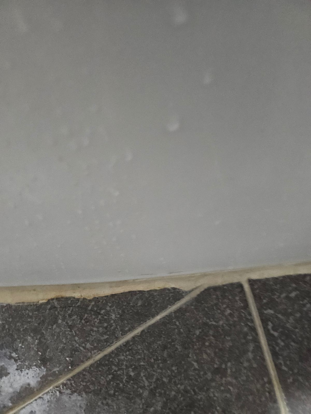 작업전 사진