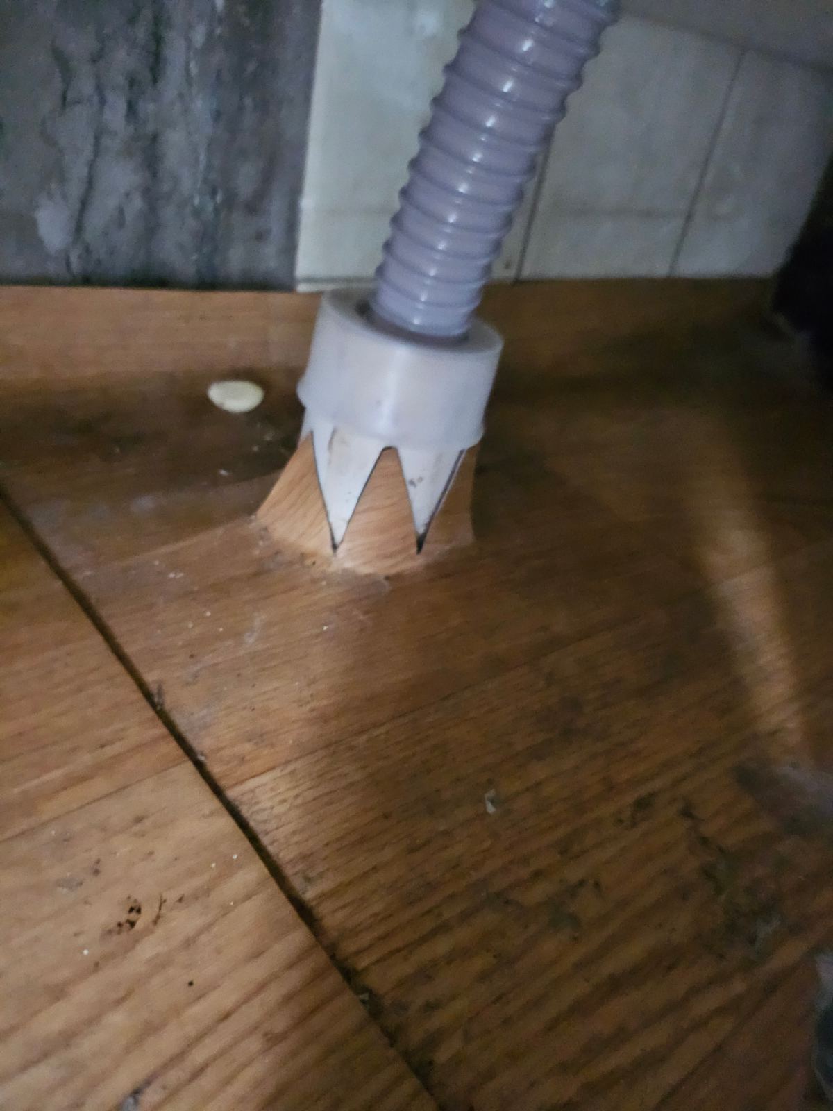 작업전 사진
