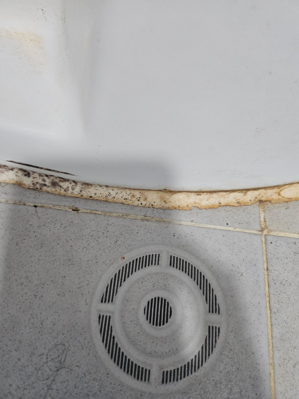 작업전 사진