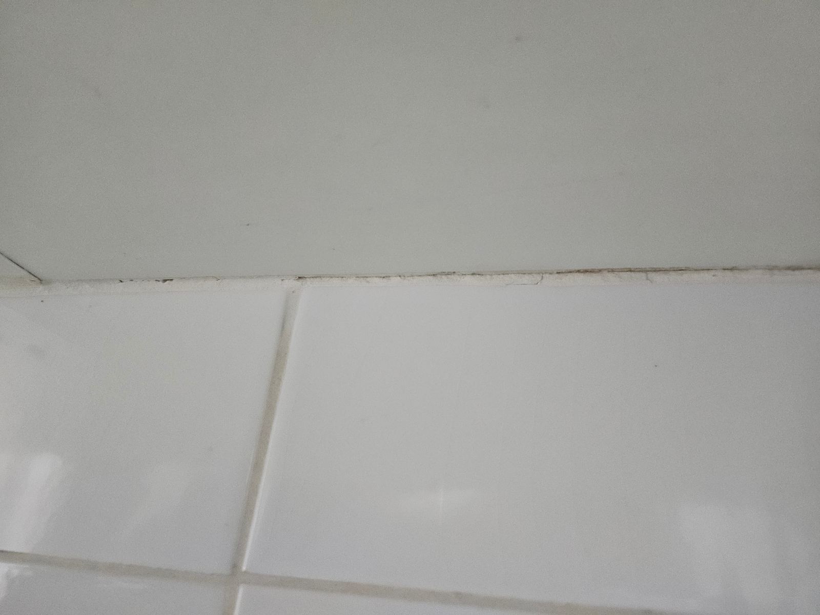 작업전 사진