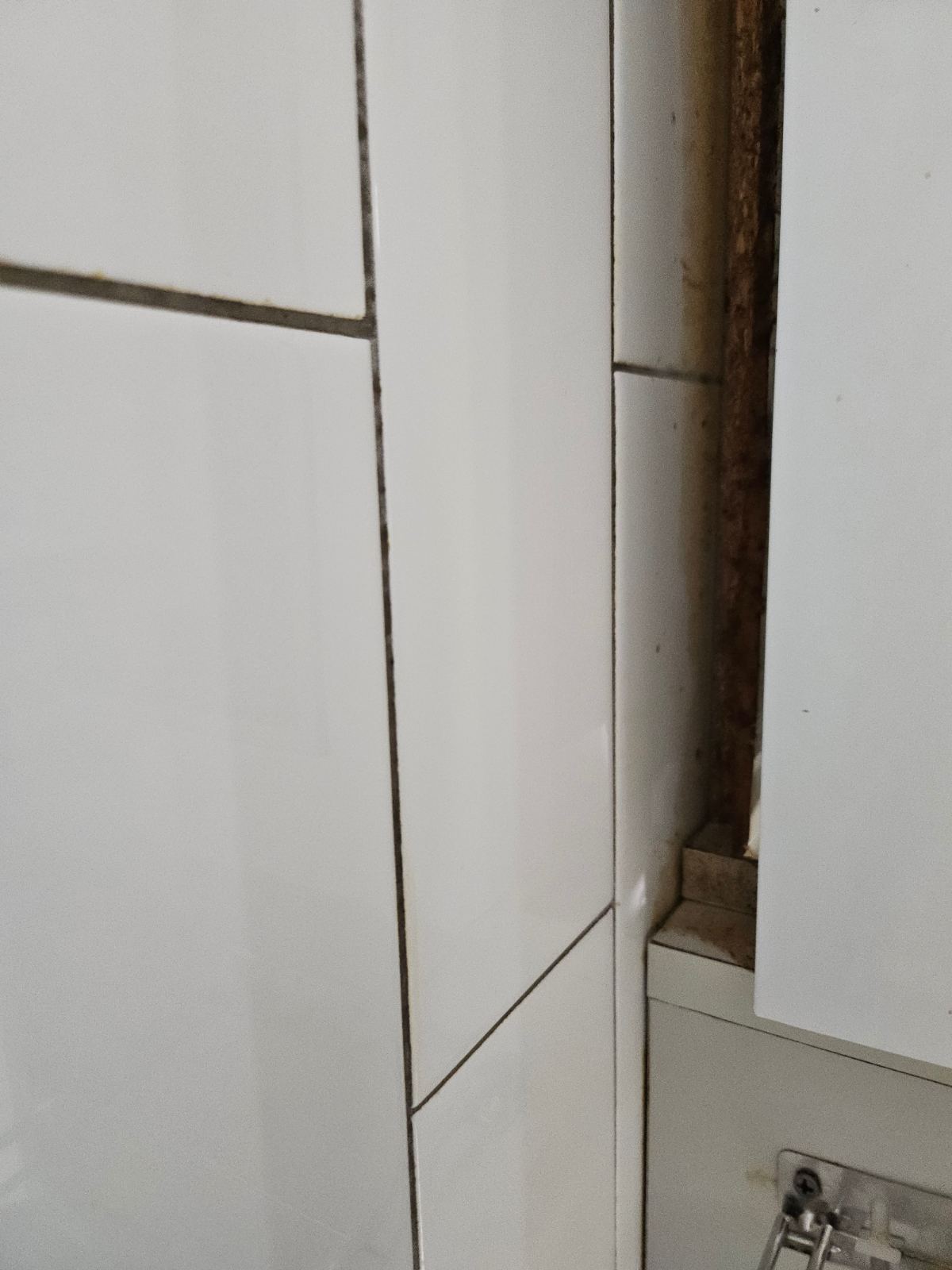 작업전 사진