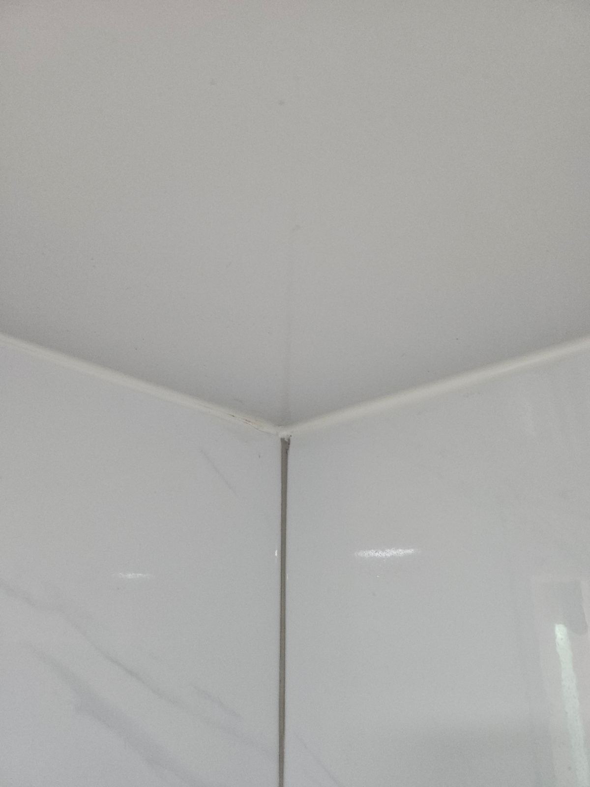 작업전 사진