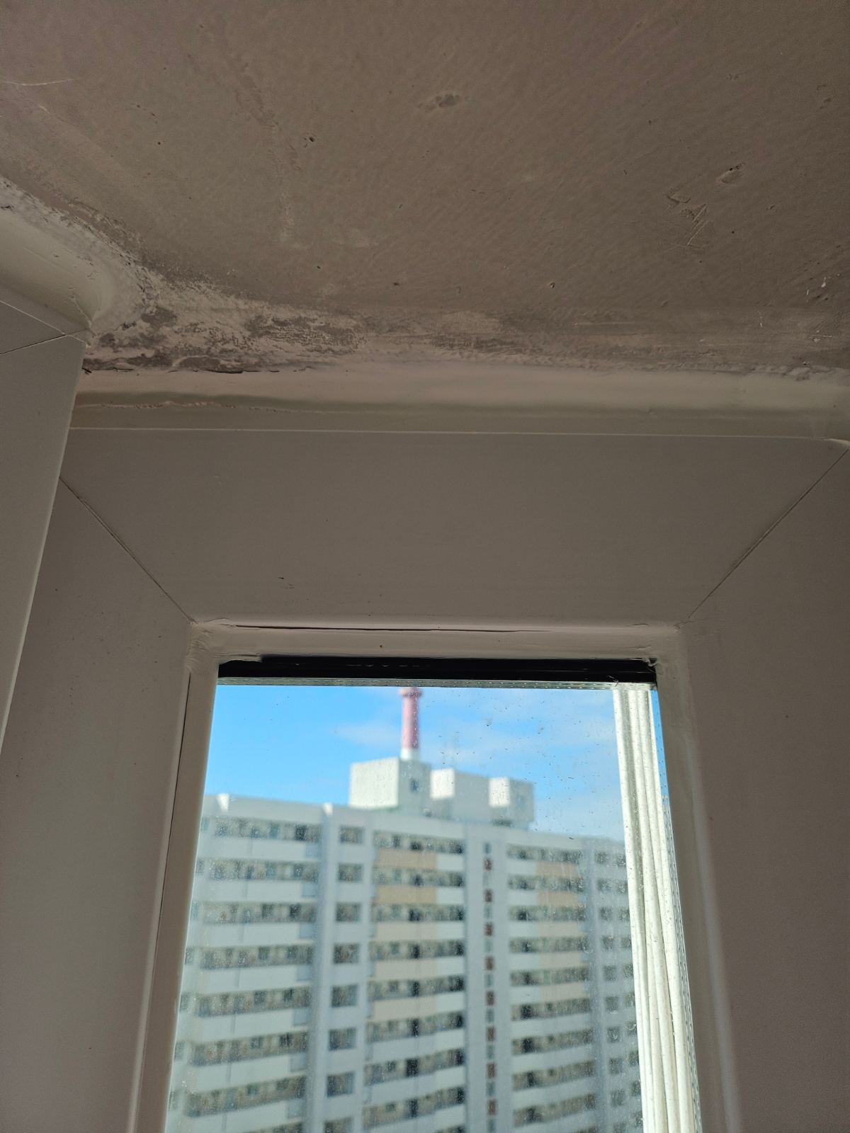 작업전 사진