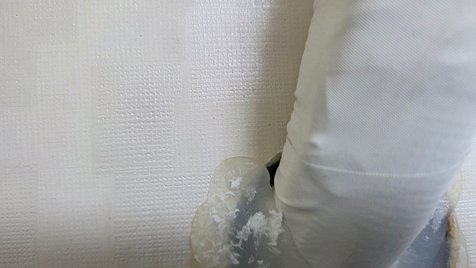 작업전 사진