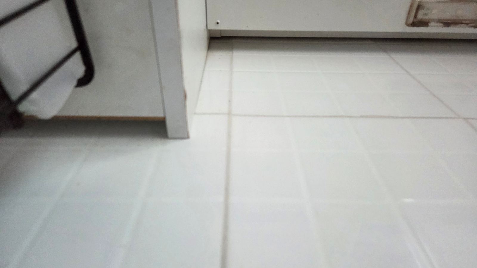 작업전 사진